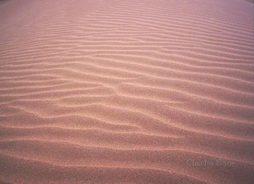 Fotografia de Sergio - Galeria Fotografica: Desierto Lavallino - Mendoza - Argentina - Foto: Arena