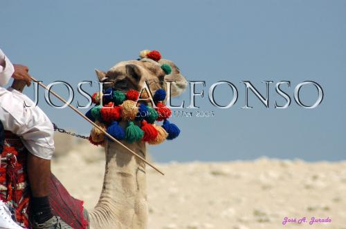 Fotografia de Vericuetos - Galeria Fotografica: Paseos por el mundo - Foto: 