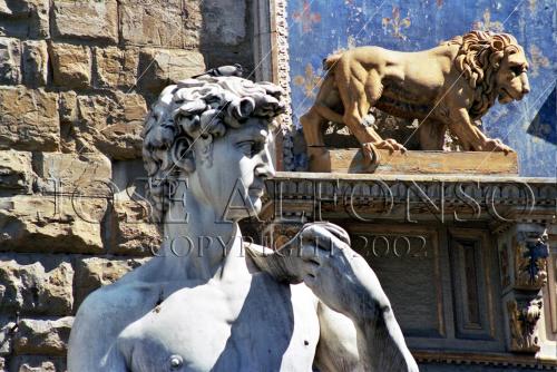 Fotografia de Vericuetos - Galeria Fotografica: Paseos por el mundo - Foto: David �Qu� miras?