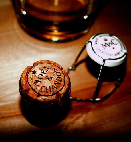 Fotografia de Joaqun LM - Galeria Fotografica: Mi camara y yo. - Foto: Despus de la fiesta