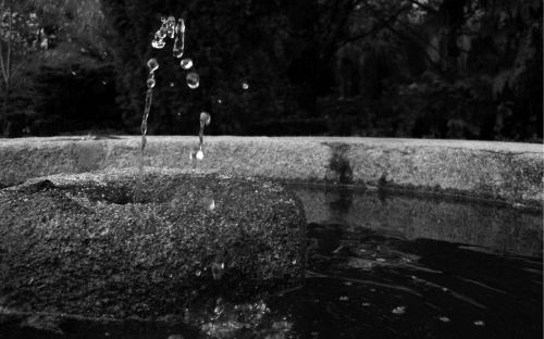 Fotografia de JGSant - Galeria Fotografica: Escenas de diario - Foto: Inmovil