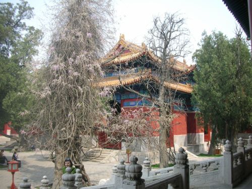 Fotografia de Afa - Galeria Fotografica: China - Foto: 