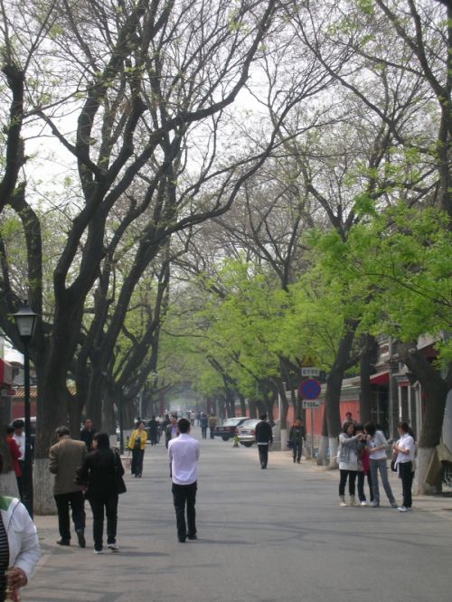 Fotografia de Afa - Galeria Fotografica: China - Foto: 