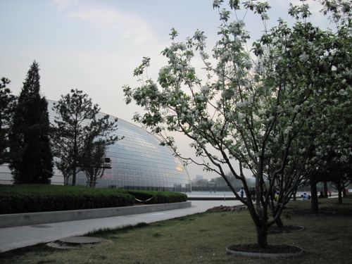 Fotografia de Afa - Galeria Fotografica: China - Foto: 