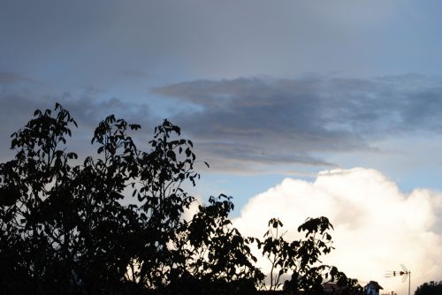 Fotografia de Dar�o Castro - Galeria Fotografica: fotos silvestres - Foto: 