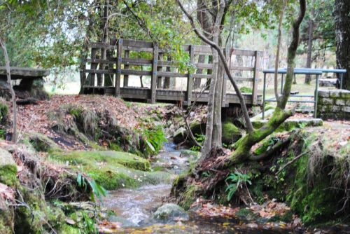 Fotografia de Dar�o Castro - Galeria Fotografica: fotos silvestres - Foto: 