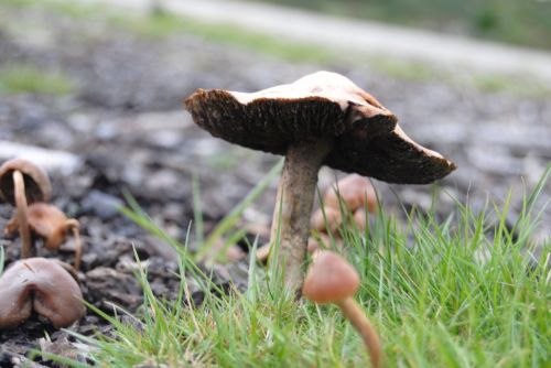 Fotografia de Daro Castro - Galeria Fotografica: fotos silvestres - Foto: 