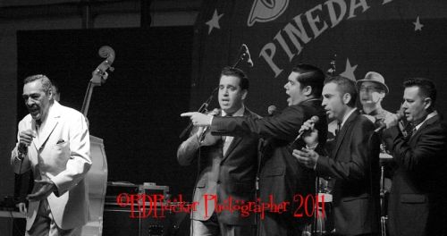 Fotografia de RD Rocker Fotografos de accion - Galeria Fotografica: Estilo de vida, Rockandroll - Foto: 