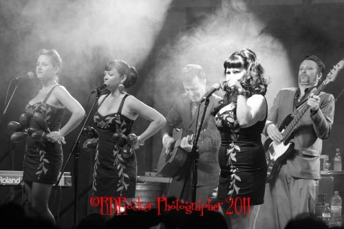 Fotografia de RD Rocker Fotografos de accion - Galeria Fotografica: Estilo de vida, Rockandroll - Foto: 