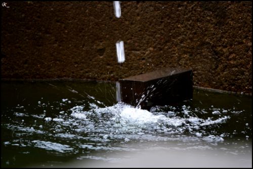 Fotografia de Carol. - Galeria Fotografica: Mis fotos :) - Foto: Chapoteo