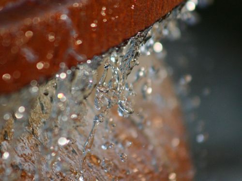 Fotografia de yael - Galeria Fotografica: macrofotografia viajera - Foto: 