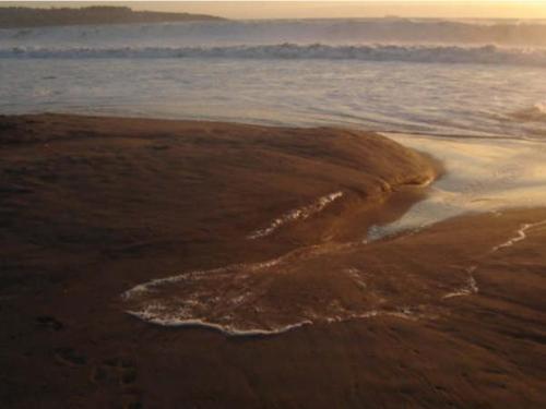 Fotografia de Alexis - Galeria Fotografica: Prisma - Foto: 								