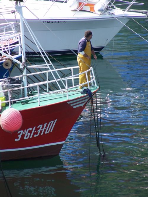 Fotografia de Fran Lpez - Galeria Fotografica: Flota Costera en Lastres - Foto: 