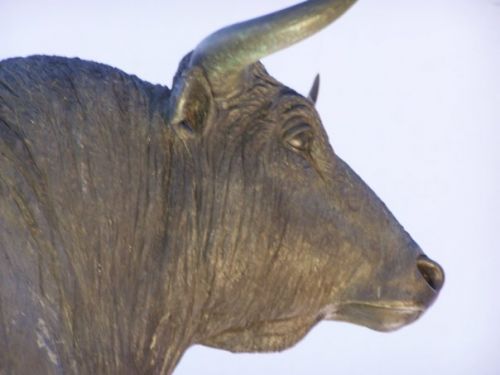 Fotografia de Fran Lpez - Galeria Fotografica: Andaluca - Foto: 