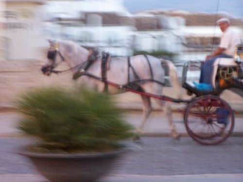 Fotografia de Fran Lpez - Galeria Fotografica: Andaluca - Foto: 