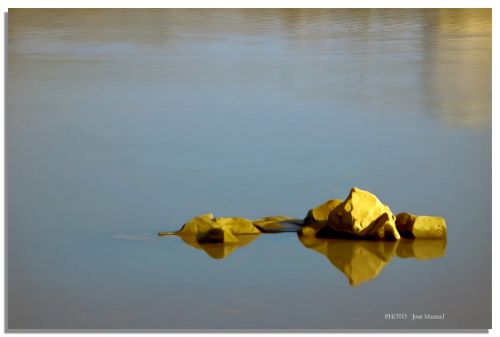 Fotografia de ZORTON34 - Galeria Fotografica: REFLEJOS - Foto: REFLEJOS 5