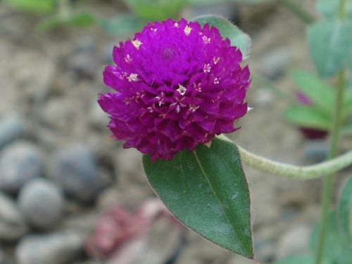 Fotografia de Juan - Galeria Fotografica: Paisajes de Ayacucho - Per� - Foto: 