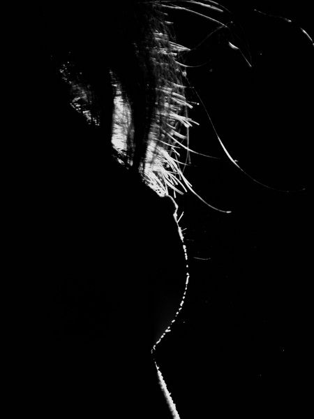 Fotografia de EikonHabana - Galeria Fotografica: Una Sola Luz - Foto: ContraLuz