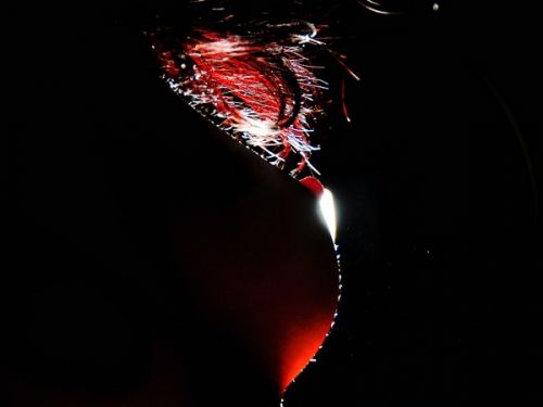 Fotografia de EikonHabana - Galeria Fotografica: Una Sola Luz - Foto: ContraLuz II