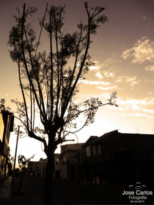 Fotografia de ZiggO - Galeria Fotografica: FOTOGRAFIA POR AQUI Y TAMBIEN POR ALLA - Foto: 