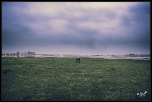 Fotografia de PJFotografa - Galeria Fotografica: Paisaje y Naturaleza - Foto: 