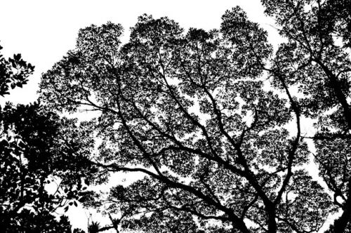 Fotografia de Rubn Martn - Galeria Fotografica: Imgenes textuales. - Foto: Mapa del cielo.