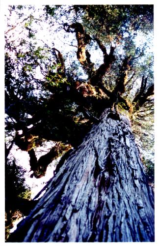 Fotografia de Nada que Hablar - Galeria Fotografica: Nada que hablar - Foto: 