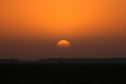 Fotografia de EFG - Galeria Fotografica: Atardecer - Foto: 