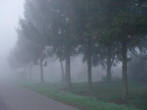 Fotografia de ISAWYOUPEEPING - Galeria Fotografica: me voy pero volver A - Foto: jardin padres