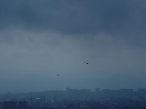 Fotografia de ISAWYOUPEEPING - Galeria Fotografica: me voy pero volver A - Foto: barcelona