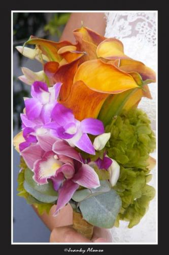 Fotografia de JC - Galeria Fotografica: Bodas - Foto: 