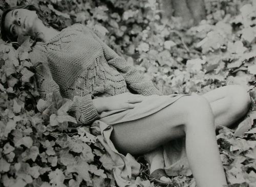 Fotografia de jose - Galeria Fotografica: FOTO LINE - Foto: 