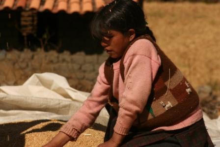 Fotografia de El Mono - Galeria Fotografica: Retratos Andinos - Foto: Nia trabajadora