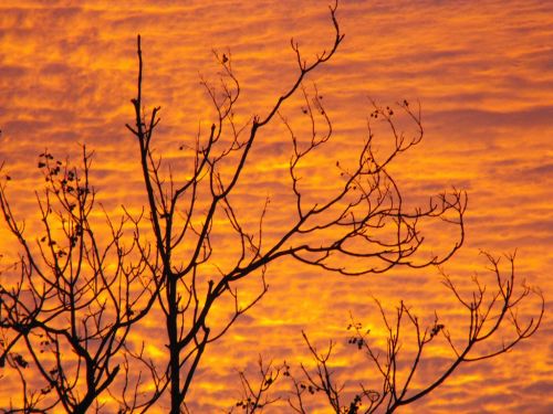Fotografia de Rebe - Galeria Fotografica: Varias - Foto: El cielo en llamas