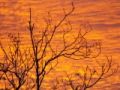 Fotos de Rebe -  Foto: Varias - El cielo en llamas
