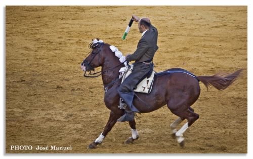 Fotografia de ZORTON34 - Galeria Fotografica: TOROS - Foto: TORO 2