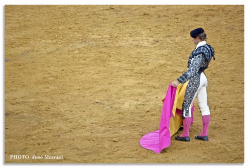 Fotografia de ZORTON34 - Galeria Fotografica: TOROS - Foto: TORO 3