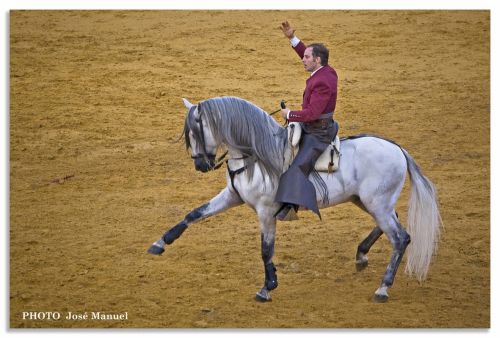 Fotografia de ZORTON34 - Galeria Fotografica: TOROS - Foto: TORO 4