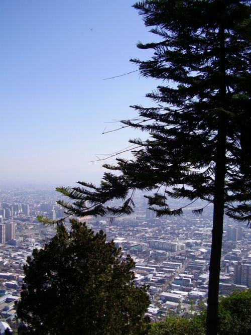 Fotografia de cromosintesis - Galeria Fotografica: Instante Precioso - Foto: 