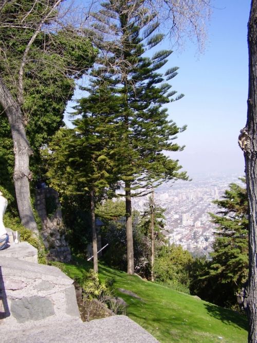 Fotografia de cromosintesis - Galeria Fotografica: Instante Precioso - Foto: 