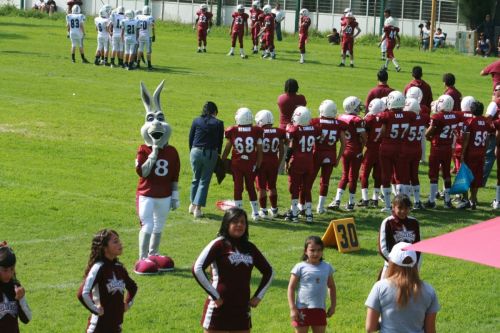 Fotografia de Kiki - Galeria Fotografica: Deportes - Foto: 