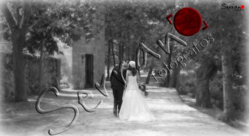 Fotografia de PRODUCCIONES SERRANO - Galeria Fotografica: Fotografias de momentos inolvidables - Foto: 