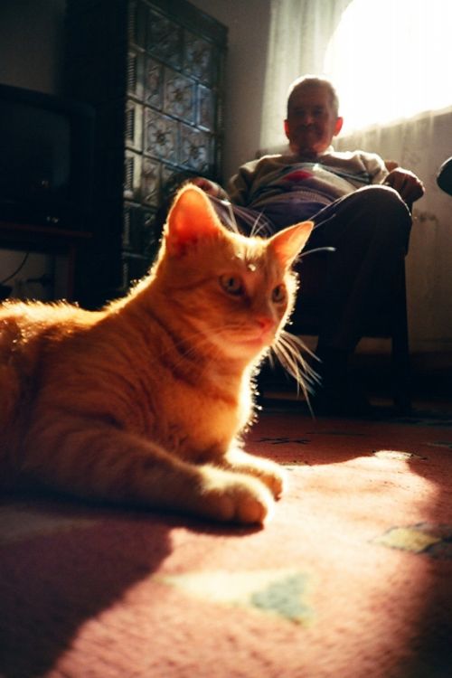 Fotografia de StudioWEBER - Galeria Fotografica: Lomography - Foto: 