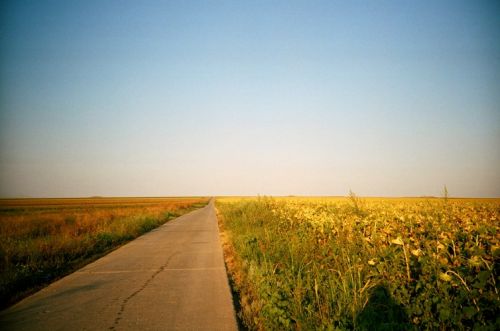 Fotografia de StudioWEBER - Galeria Fotografica: Lomography - Foto: 