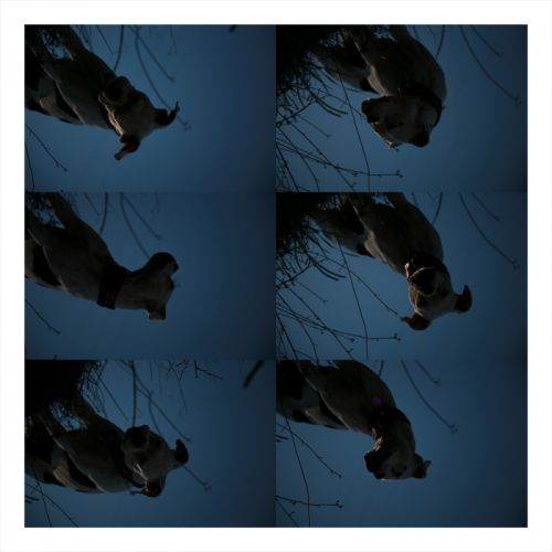 Fotografia de alfonso casta�eda feletti - Galeria Fotografica: varios - Foto: 