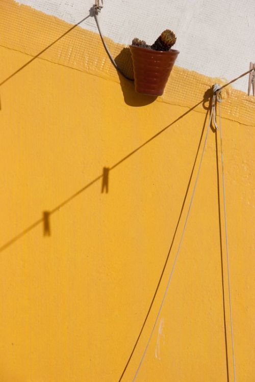 Fotografia de Xabier - Galeria Fotografica: MOSTRA - Foto: 