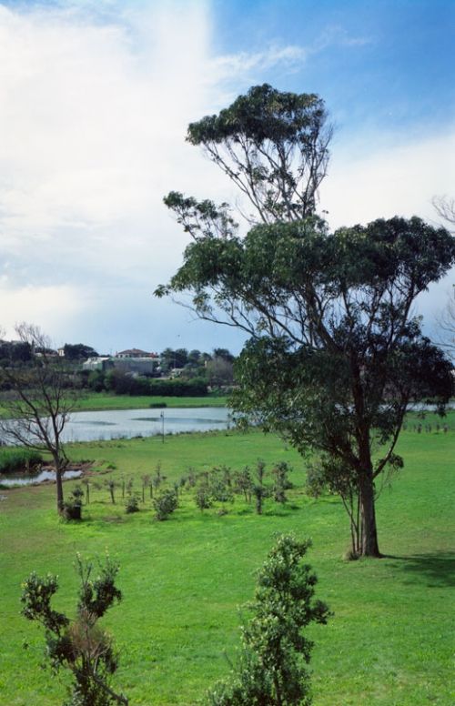 Fotografia de Xabier - Galeria Fotografica: MOSTRA - Foto: 