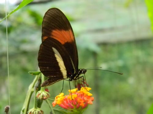 Fotografia de angelcer2002 - Galeria Fotografica: NATURALEZA - Foto: 