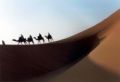 Fotos de SANDRA GARCIA -  Foto: ARTE - Desierto de Marruecos