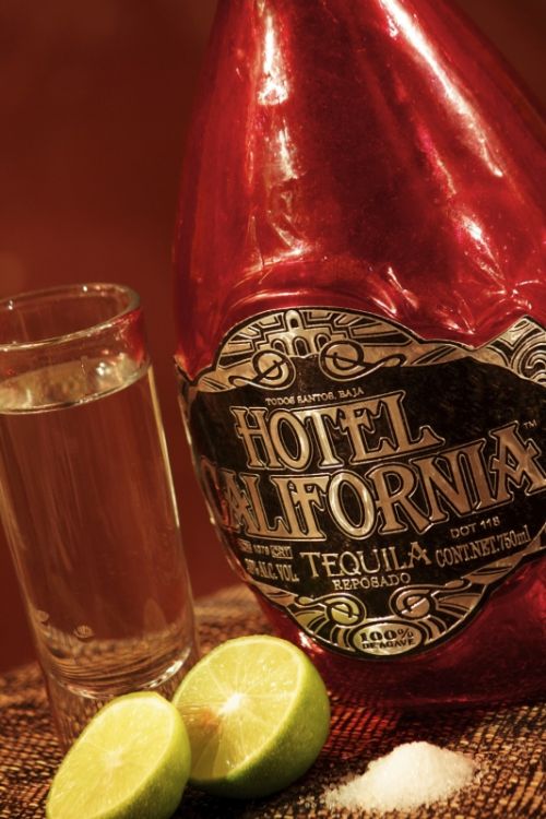 Fotografia de Sandra Munoz. Fotografa. - Galeria Fotografica: Gastronoma - Foto: 